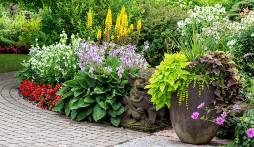 Guidelines for the Flower Garden