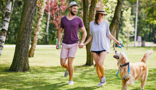 Top 5 Reasons to Move to St. John, Indiana